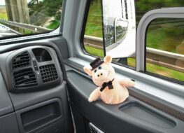 014 - 2007 - Berny Riviere  - F